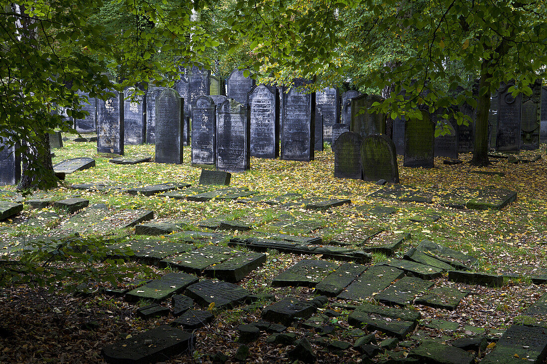 Gravestones at jewish cemetery at the district Altona, Hanseatic city of Hamburg, Germany, Europe