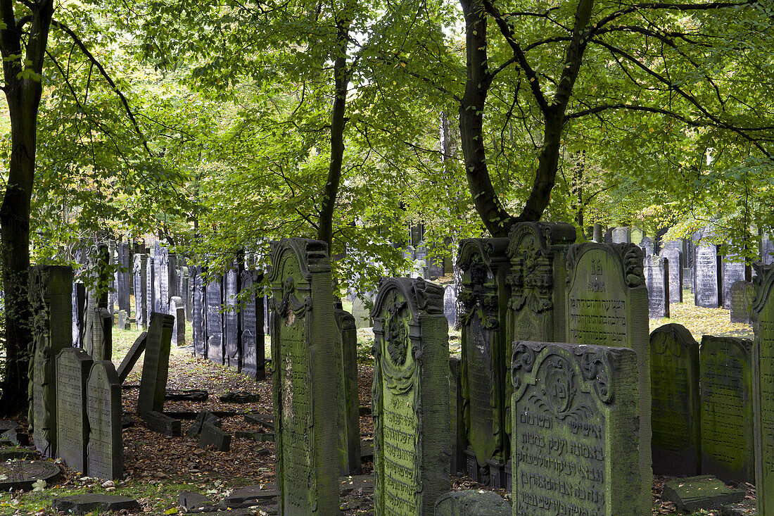 Gravestones at jewish cemetery at the district Altona, Hanseatic city of Hamburg, Germany, Europe