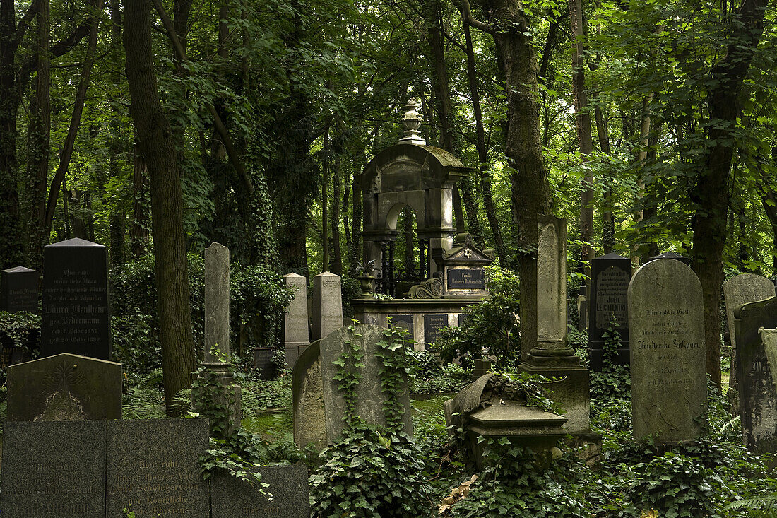 Jewish cemetery between trees, Berlin-Weissensee, The Weissensee cemetery is among Europe's biggest Jewish cemeteries, Berlin, Germany, Europe