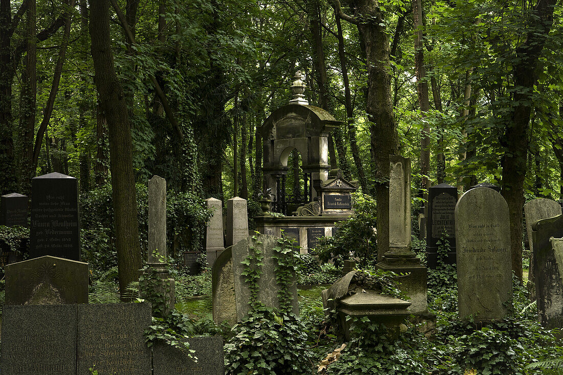 Jüdischer Friedhof zwischen Bäumen, Berlin-Weissensee, Er gilt als der größte erhaltene jüdische Friedhof Europas, Berlin, Deutschland, Europa