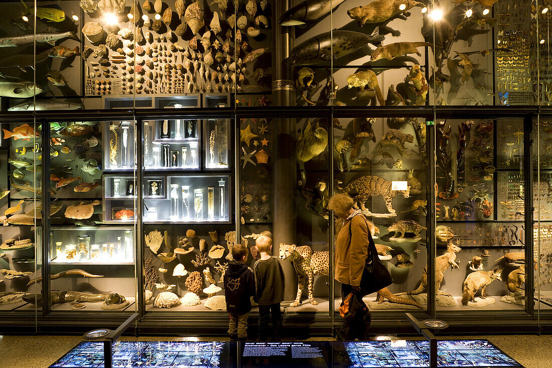 People at Berlin Museum of Natural History, Invalidenstrasse, Berlin-Mitte, Berlin, Germany, Europe