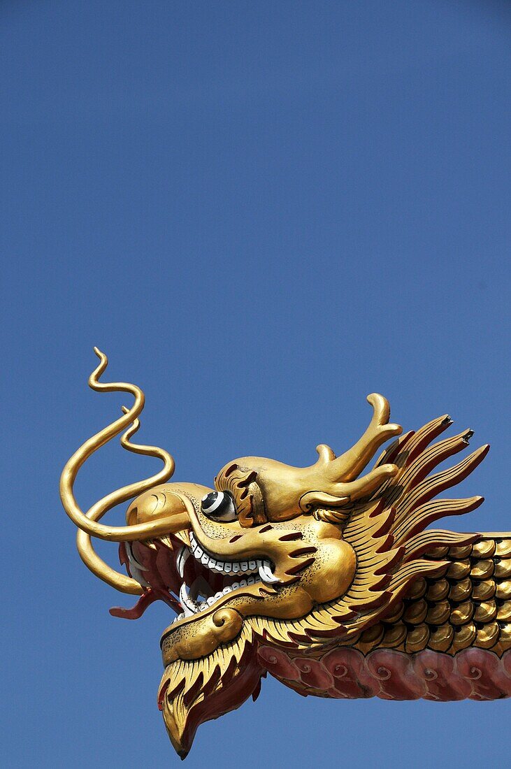 Golden Dragonhead on a Temple