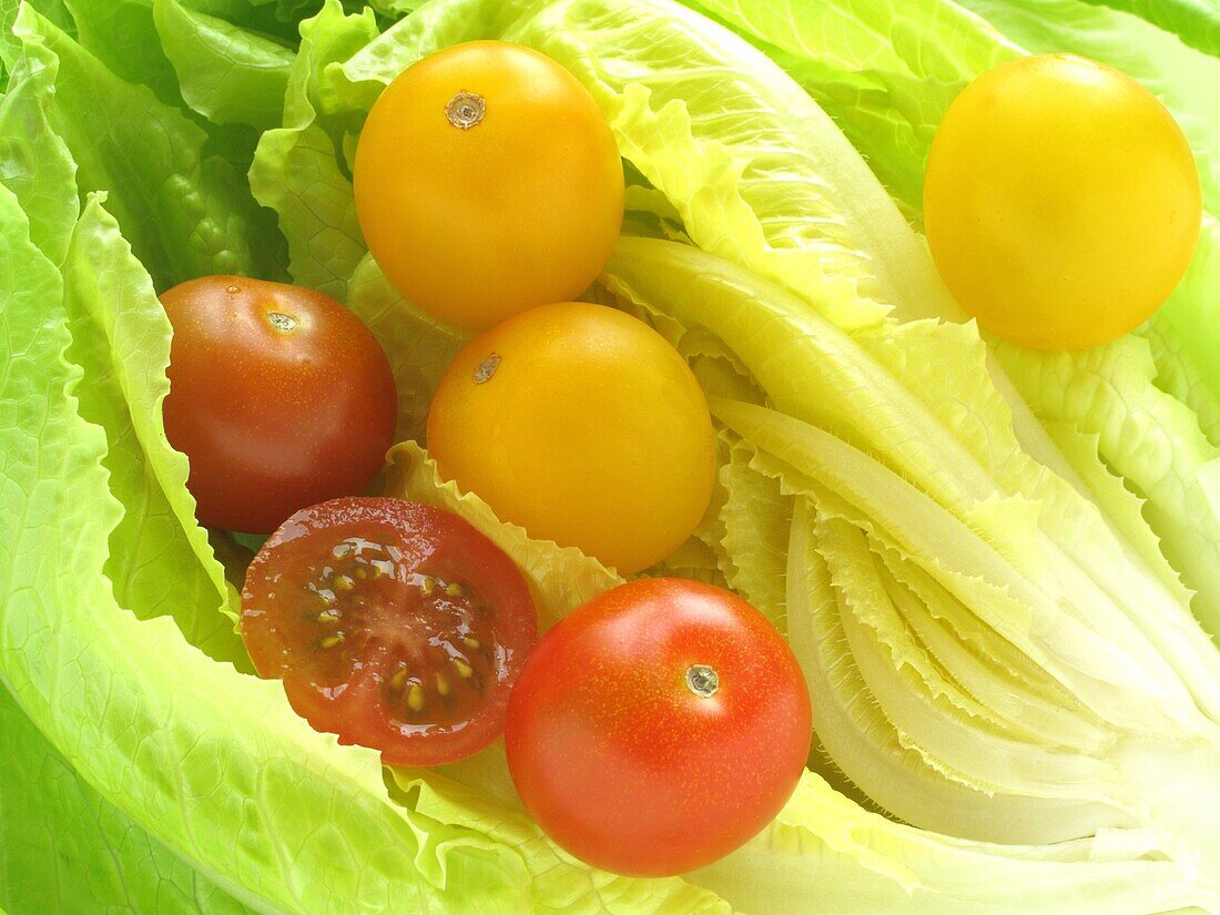 Lettuce and Cherry tomatoes