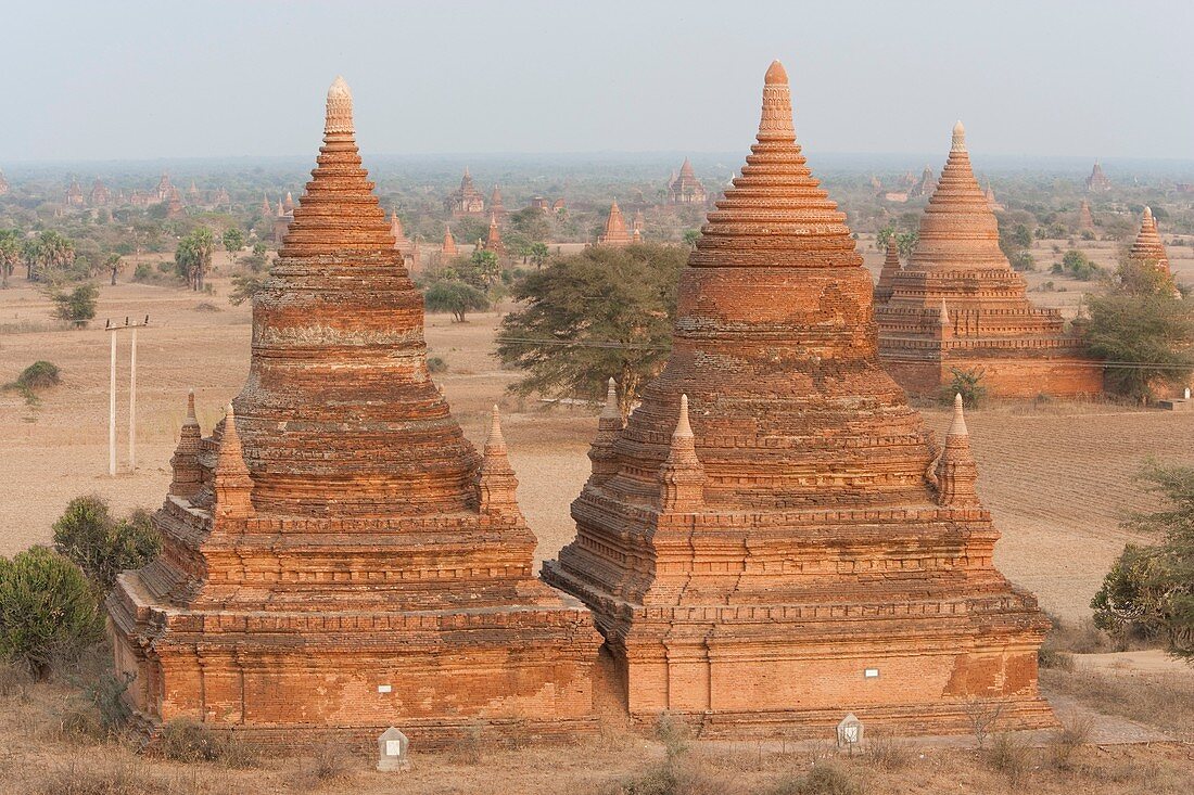 Myanmar. Burma. Bagan. Ancient Buddhist temples on the central plain of Bagan . The Bagan dynasty built 2, 229 temples in 200 years.