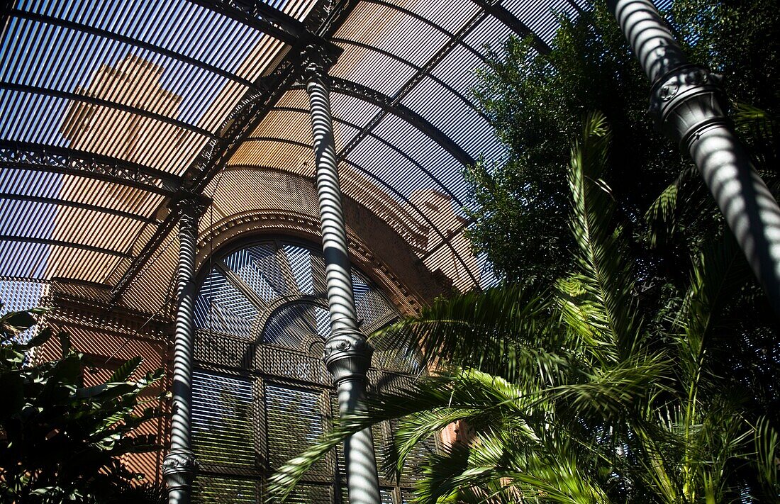 Umbracle by Fontserè, Parc Ciutadella, Barcelona, Catalonia, Spain