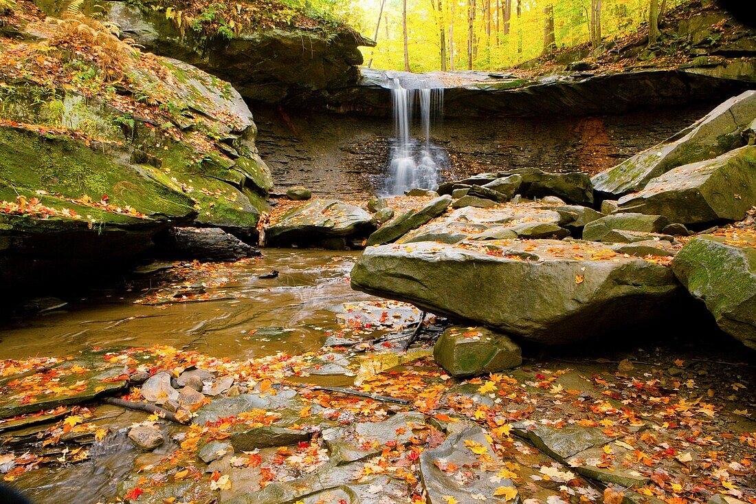 Autumn, Cave, Fall color, Flow, Leaf, Leaves, Midwest us, River, Stream, Tree, United states of america, Water, Waterfall* ohio, S19-1065164, agefotostock