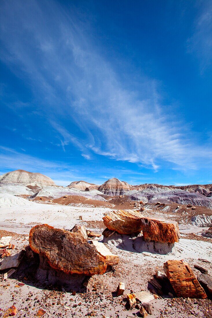 Amerika, Arizona, Badlands, Fels, Felsen, Holz, Petrified Forest National Park, Südwesten, Trocken, USA, Vereinigte Staaten, Wald, Wetter, Winter, Wüste, Wüsten, S19-1107251, agefotostock