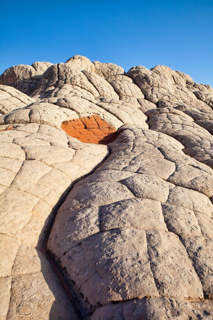 Amerika, Arizona, Empfindlich, Fels, Felsen, Flosse, Landschaft, Landschaften, Landschaftlich schön, Muster, Natur, Page, Sandstein, Strudel, Südwesten, USA, Vereinigte Staaten, Wüste, Wüsten, S19-1107365, agefotostock