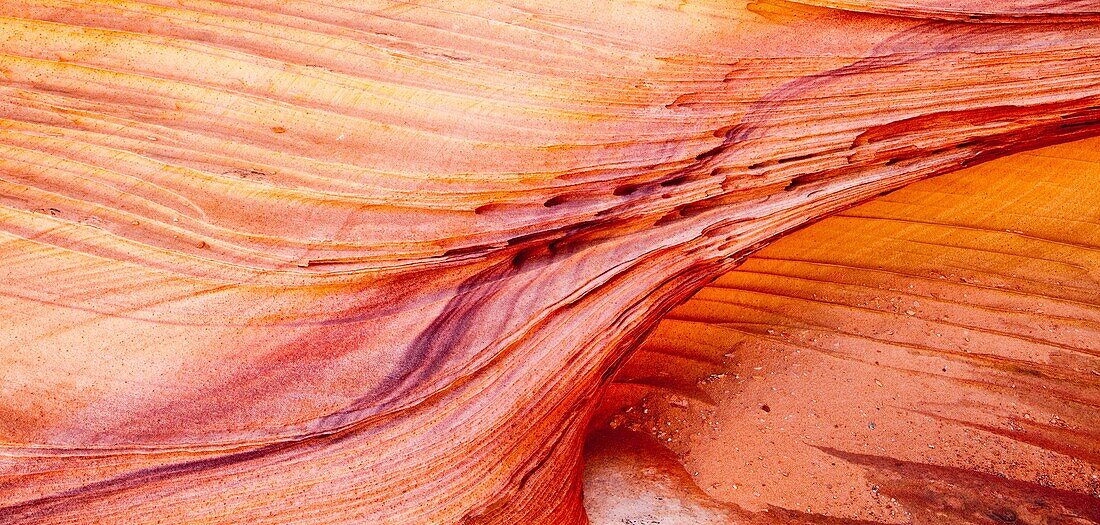 Arizona, Cottonwood cove, Delicate, Desert, Fin, Landscape, Nature, Page, Rock, Sandstone, Scenic, South coyote buttes, Southwest, United states of america, S19-1107378, agefotostock