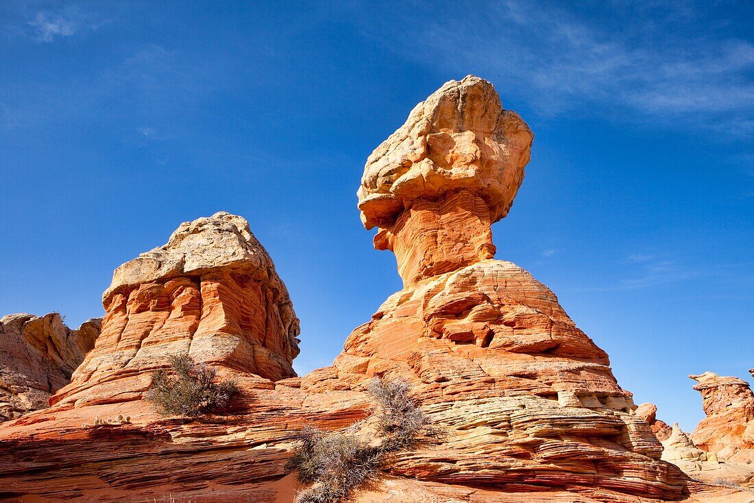 Amerika, Arizona, Empfindlich, Fels, Felsen, Flosse, Landschaft, Landschaften, Landschaftlich schön, Natur, Page, Sandstein, Südwesten, USA, Vereinigte Staaten, Wüste, Wüsten, S19-1107376, agefotostock