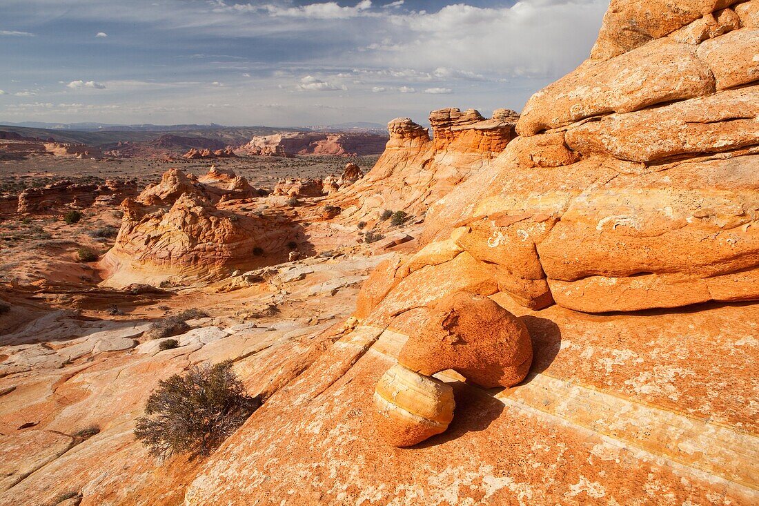 Arizona, Cottonwood cove, Delicate, Desert, Fin, Landscape, Nature, Page, Rock, Sandstone, Scenic, South coyote buttes, Southwest, United states of america, S19-1107398, agefotostock