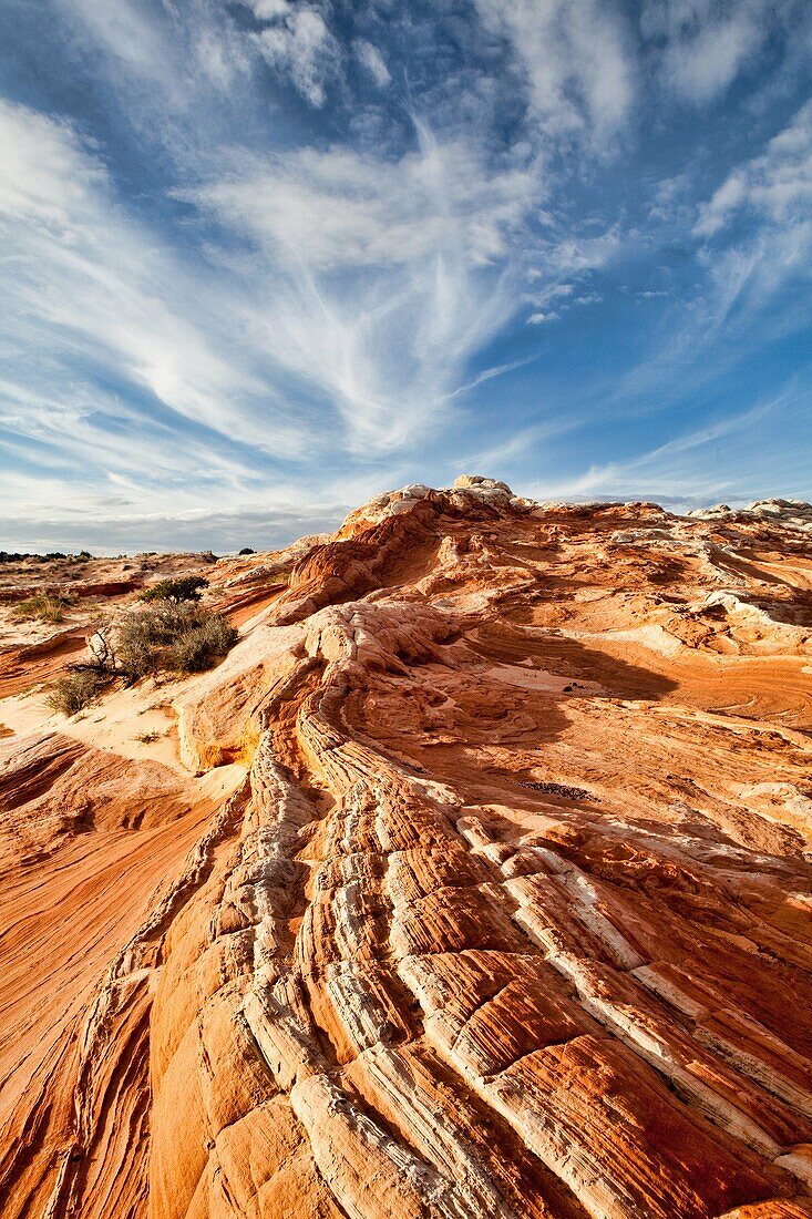 Amerika, Arizona, Empfindlich, Fels, Felsen, Landschaft, Landschaften, Landschaftlich schön, Natur, Page, Sandstein, Strudel, Südwesten, USA, Vereinigte Staaten, Wüste, Wüsten, S19-1107411, agefotostock