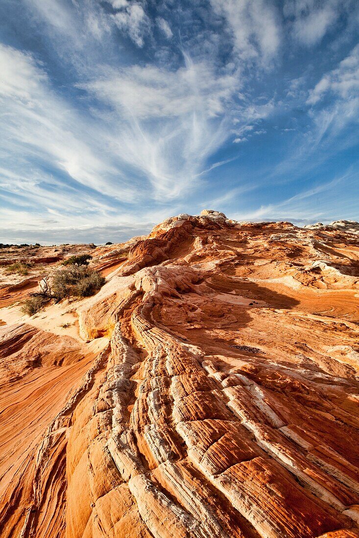 Arizona, Delicate, Desert, Landscape, Nature, Page, Rock, Sandstone, Scenic, Southwest, Swirls, United states of america, White pockets, S19-1107411, agefotostock