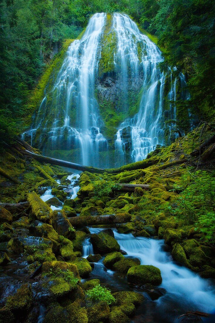 Cascade mountain, dreamy, Landscape, mountain, Oregon, Proxy Falls, scenic, stream, USA, water, waterfall, S19-1190541, AGEFOTOSTOCK