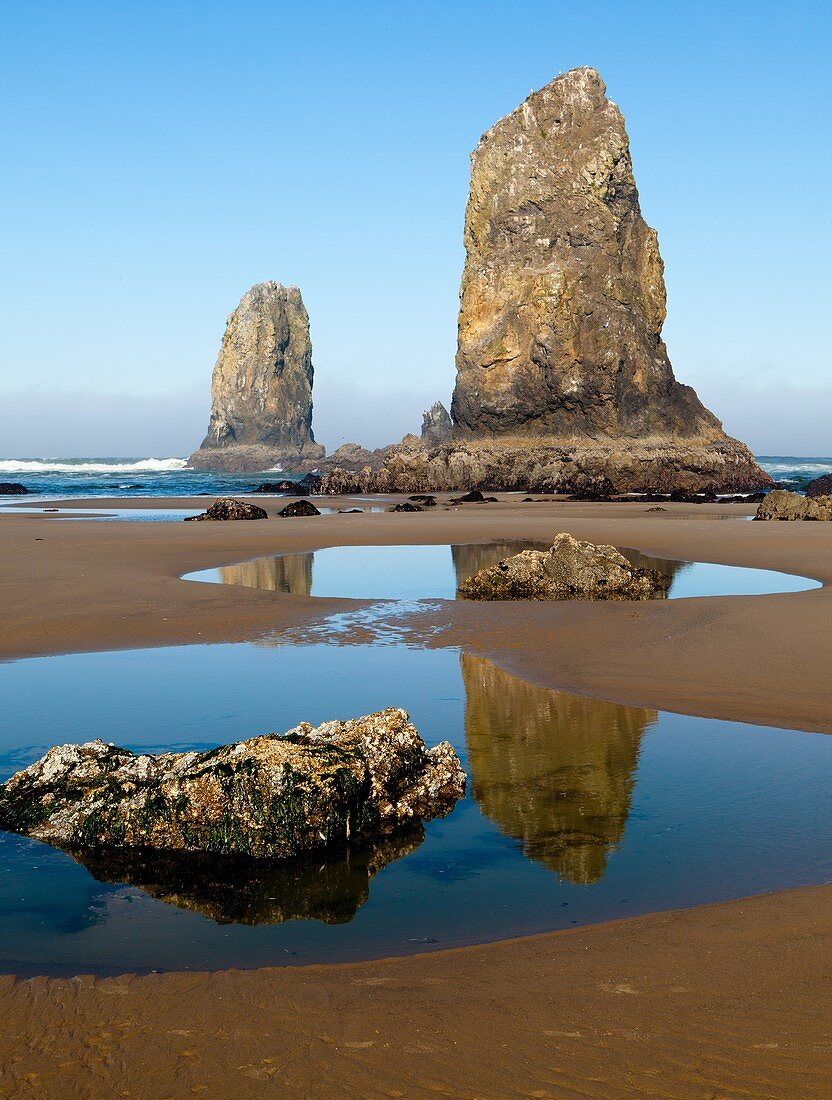 beach, canon, coast, Landscape, Low tide, Oregon, reflection, rock, sand, scenic, tidepool, USA, S19-1190539, AGEFOTOSTOCK