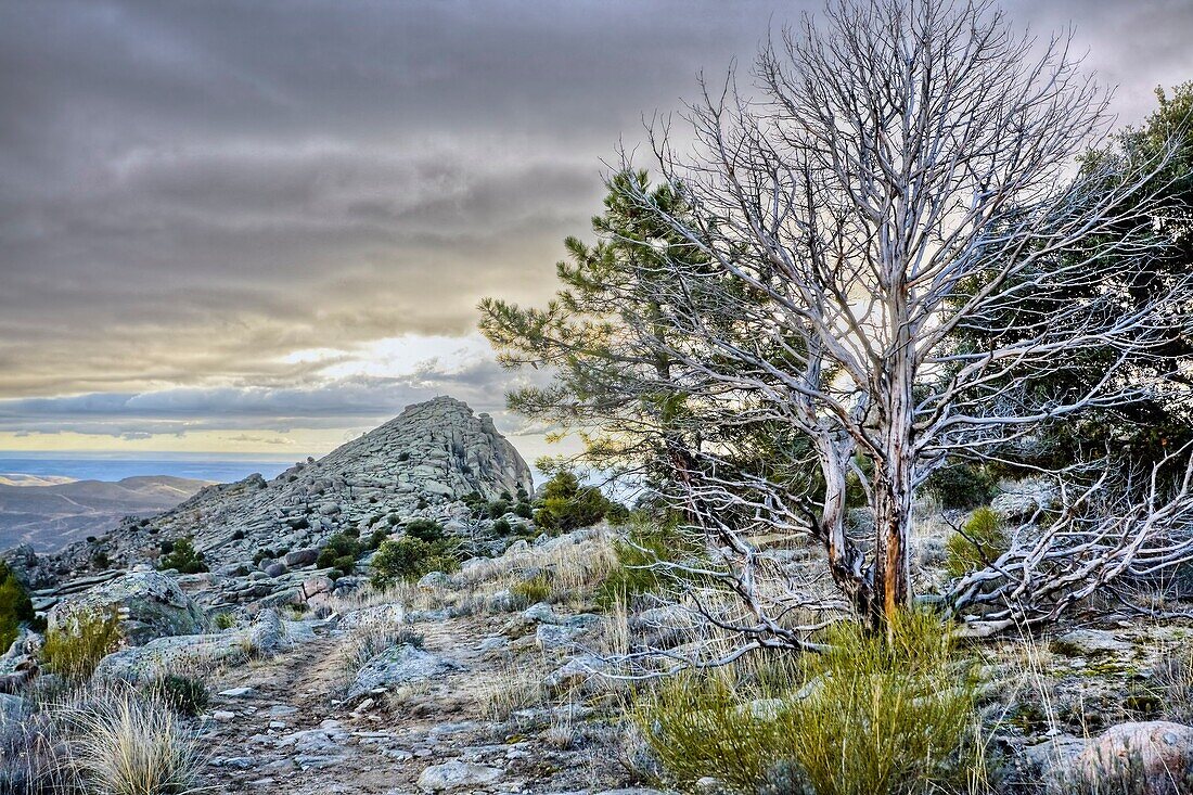 Pico de la Miel en la Sierra de la Cabrera Comunidad de Madrid España