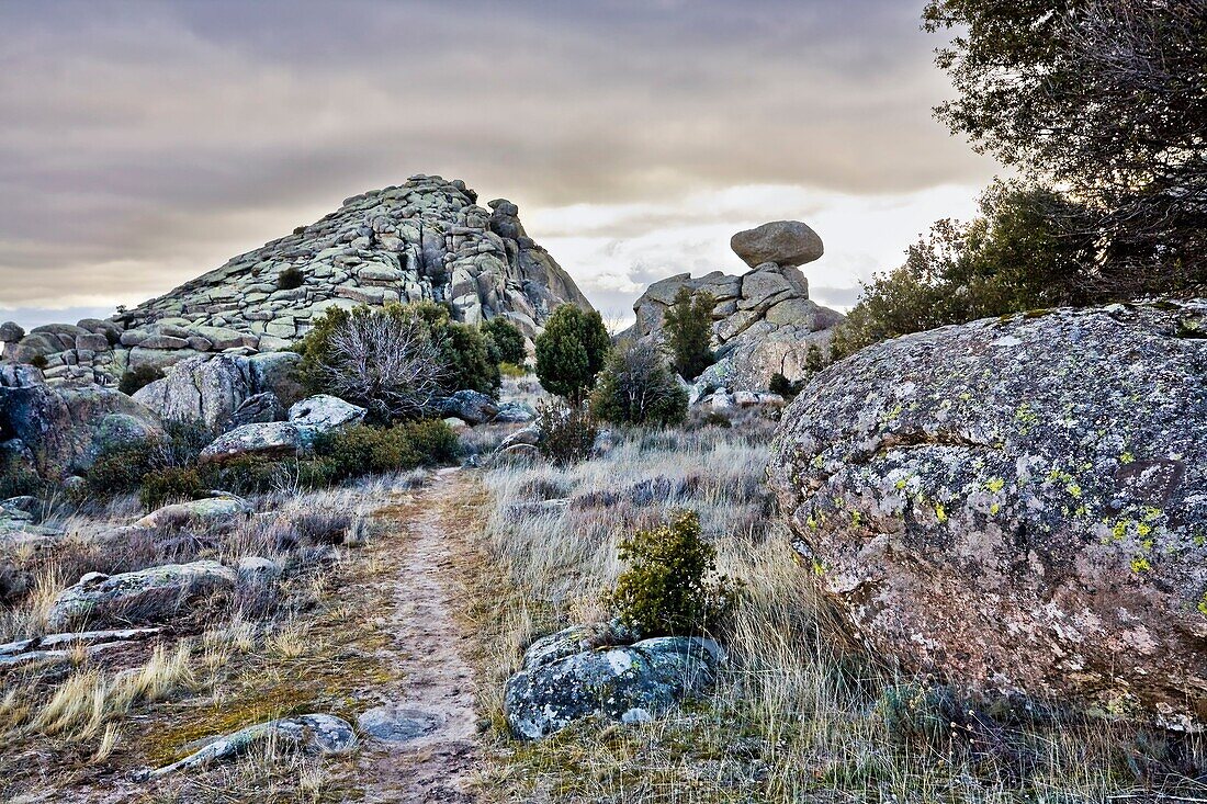 Pico de la Miel en la Sierra de la Cabrera Comunidad de Madrid España