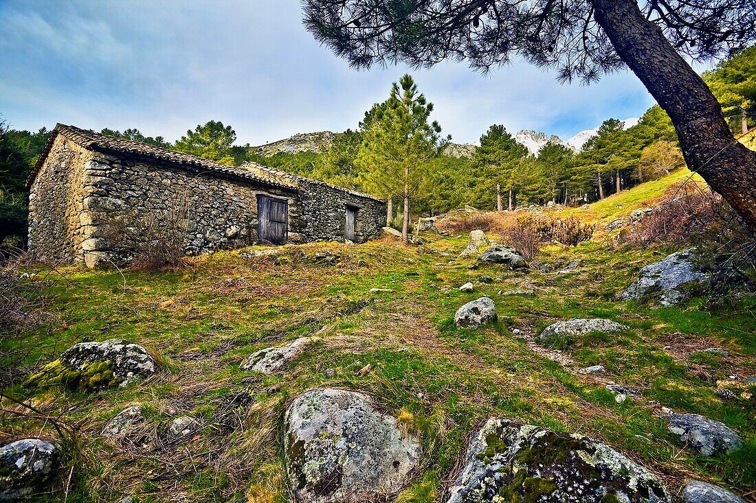 Majada en Domingo Fernando Sierra de Gredos El Hornillo Castilla León España