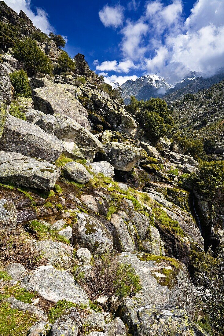 Tejea gorge in the Sierra de Gredos. Avila province. Castilla-León. Spain.