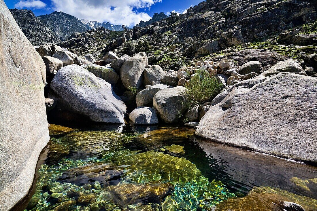 Tejea gorge in the Sierra de Gredos. Avila province. Castilla-León. Spain.