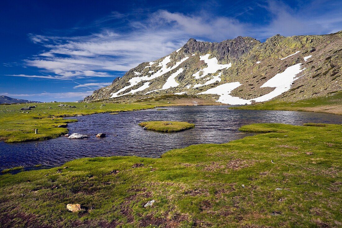 Birds Lagoon Natural Park Sierra de Guadarrama Peñalara Madrid Spain