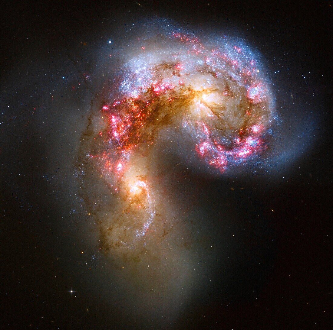 This new NASA Hubble Space Telescope image of the Antennae galaxies is the sharpest yet of this merging pair of galaxies During the course of the collision, billions of stars will be formed. The brightest and most compact of these star birth regions …