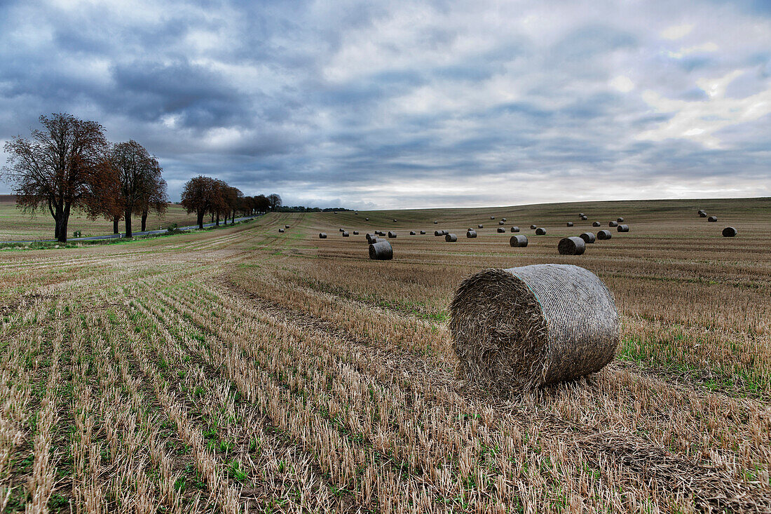 Stoppelfeld bei Teterow, Mecklenburgische Schweiz, Mecklenburg-Vorpommern, Deutschland