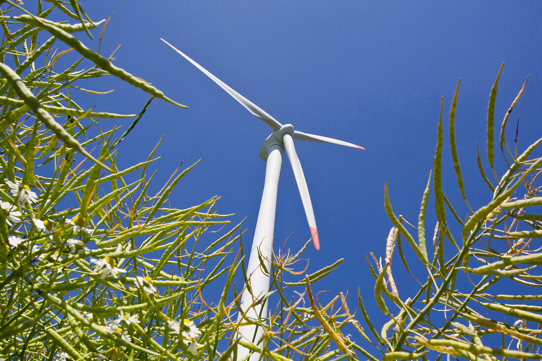 Wind turbine, Dithmarschen, Schleswig-Holstein, Germany