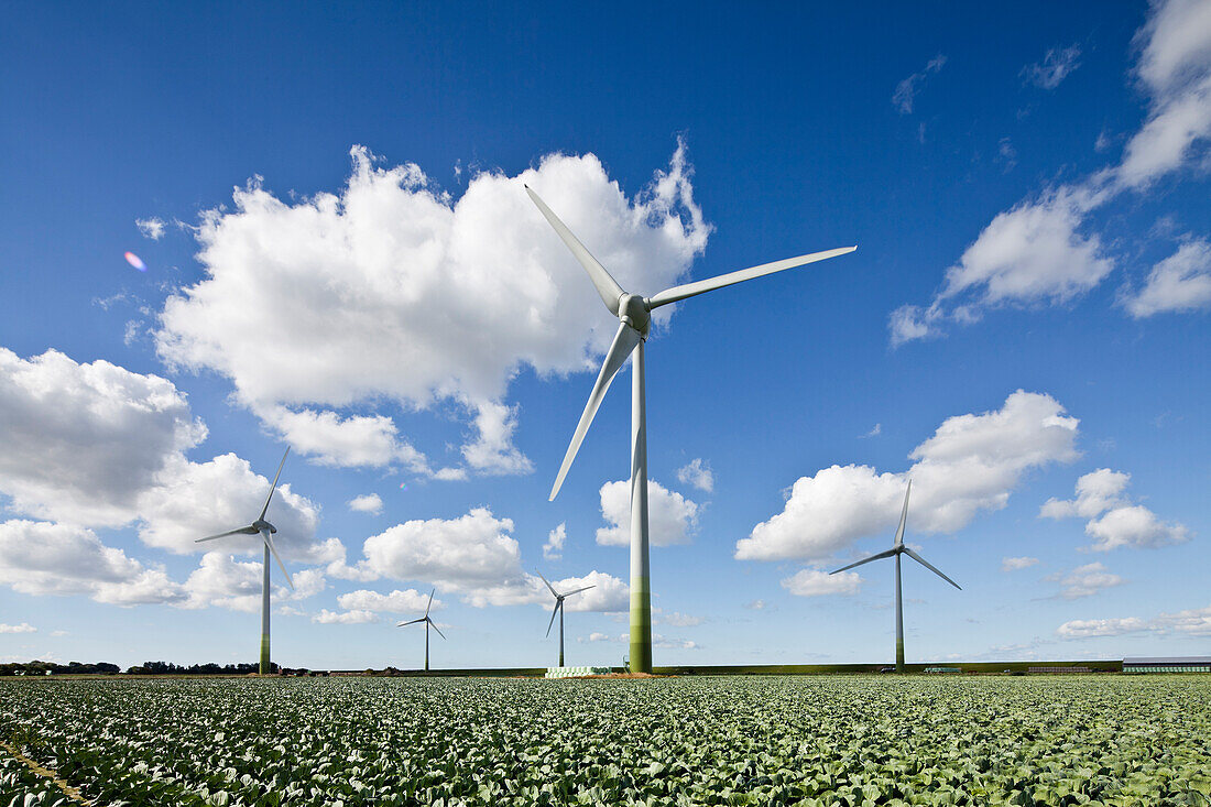 Wind turbines, Dithmarschen, Schleswig-Holstein, Germany