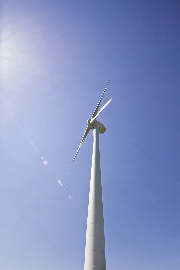 Windkraftanlage, Dithmarschen, Schleswig-Holstein, Deutschland