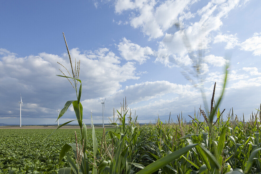 Windkraftanlagen, Biebelried, Unterfranken, Bayern, Deutschland