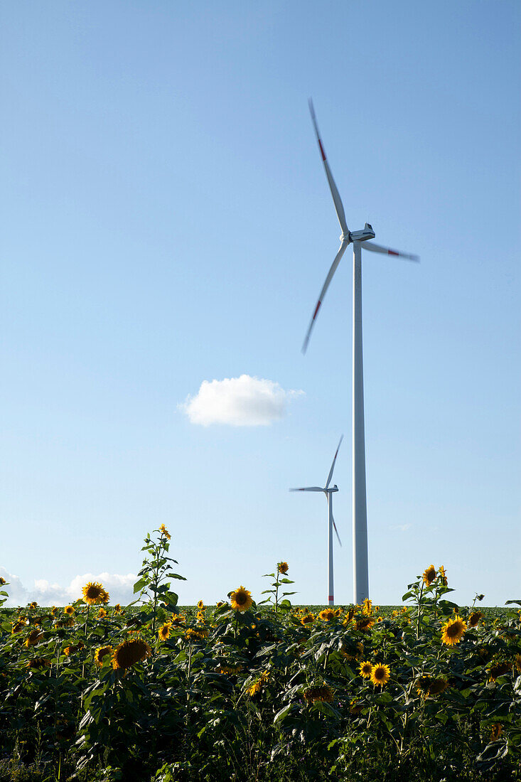 Windkraftanlagen, Biebelried, Unterfranken, Bayern, Deutschland