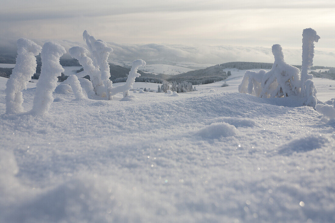 Landschaft, Schnee, verschneit, Schnee, Winter, bei Gersfeld, Wasserkuppe, Mittelgebirge Rhön, Hessen, Deutschland