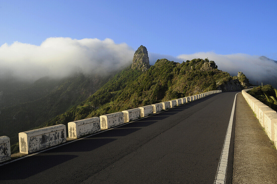 Mountain road below Los Bailaderos, Anaga Mountains, North Tenerife, Canary Islands, Spain