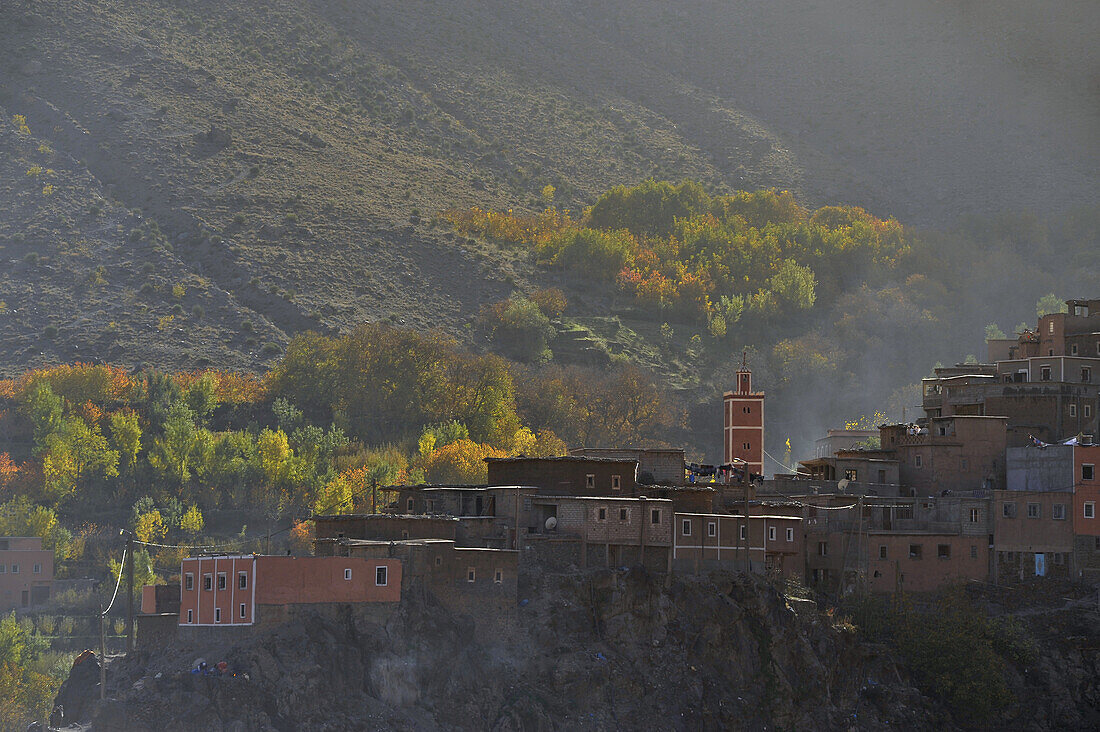 Häuser in Imlil in nachmittags Licht, Bäume mit Herbstfärbung, im Hohen Atlas bei Marrakech, Asni, Marokko