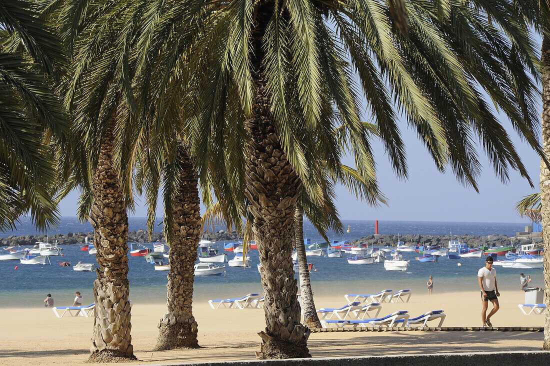 Sandstrand, Palmen und Boote am Playa de las Teresitas, San Andres, Teneriffa, Kanaren, Spanien