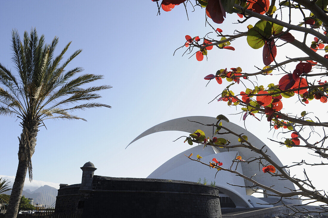 Auditorio by Santiago Calatrava and fortress, venida Tres de Mayo and Avenida Martima, Santa Cruz, Tenerife, Canary Islands, Spain