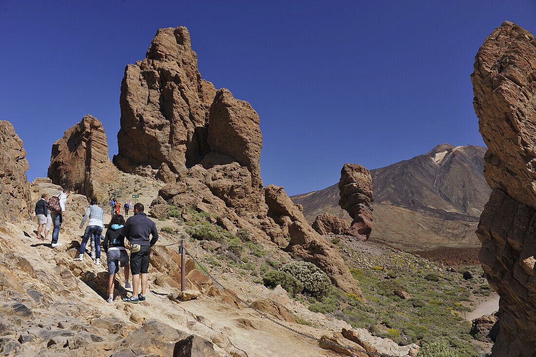 Hikers at Roque Cinchado and Pico del Teide, Teide Nationalpark,   Tenerife, Spain