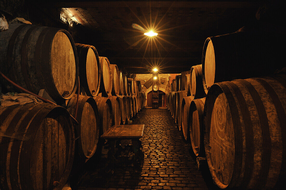 Wooden barrels in wine cellar, Ruta del Vino, Bodega Monje, El Sauzal, Tenerife, Canary Islands, Spain, Ruta del Vino, Bodega Monje, El Sauzal
