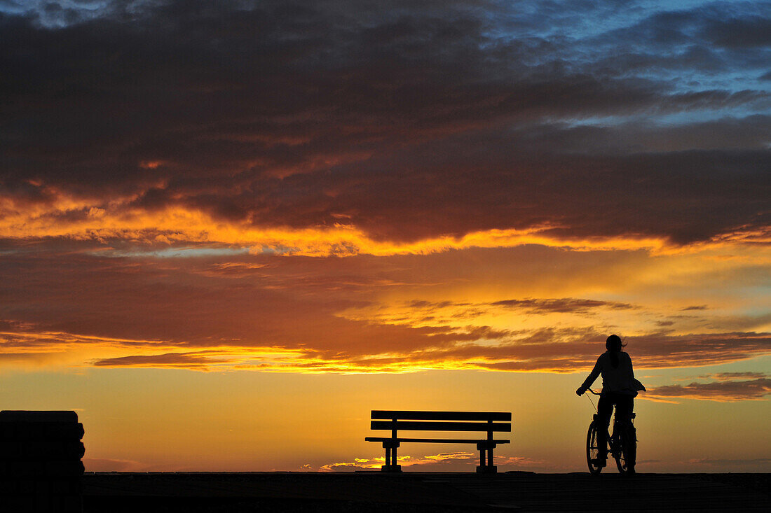 Cycling At Sunset, Somme (80), Picardy, France