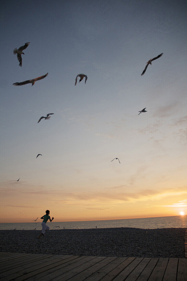 Young Boy On The Beach At Sunset, Somme (80), Picardy, France