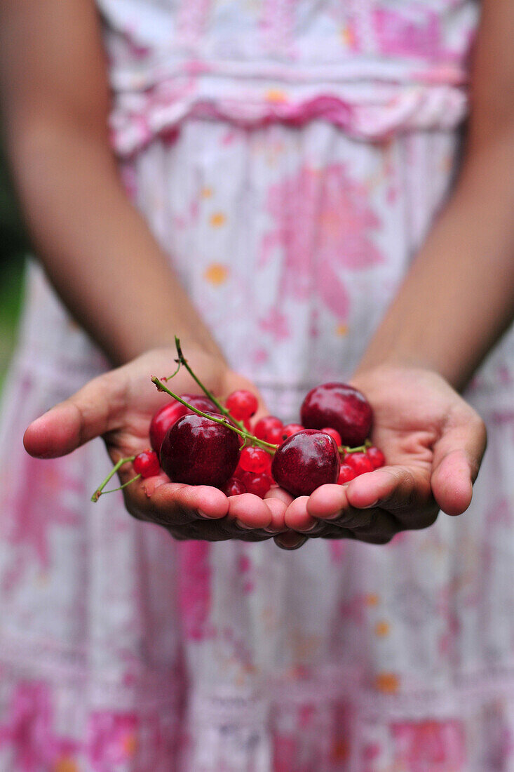 Little Girl, Berries, Somme (80), Picardy, France