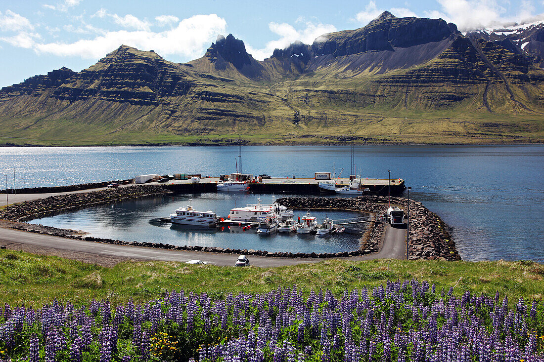 The Fishing Port Of Stodvarfjordur, Eastern Iceland, Europe, Iceland