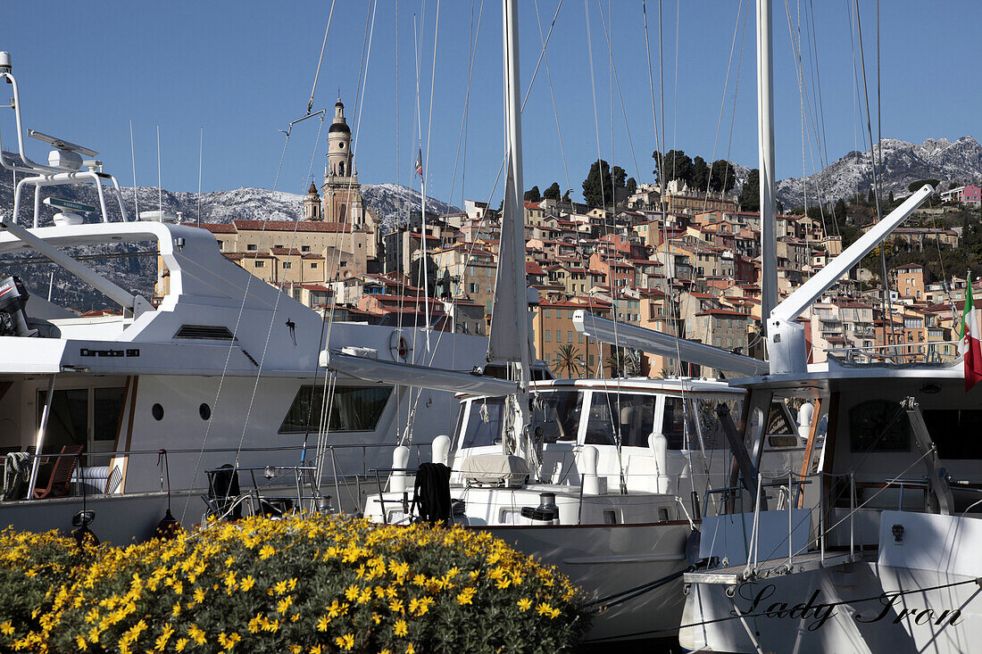 Marina And Luxury Yachts In Front Of The Historic Center Of Menton, Alpes-Maritimes (06), France