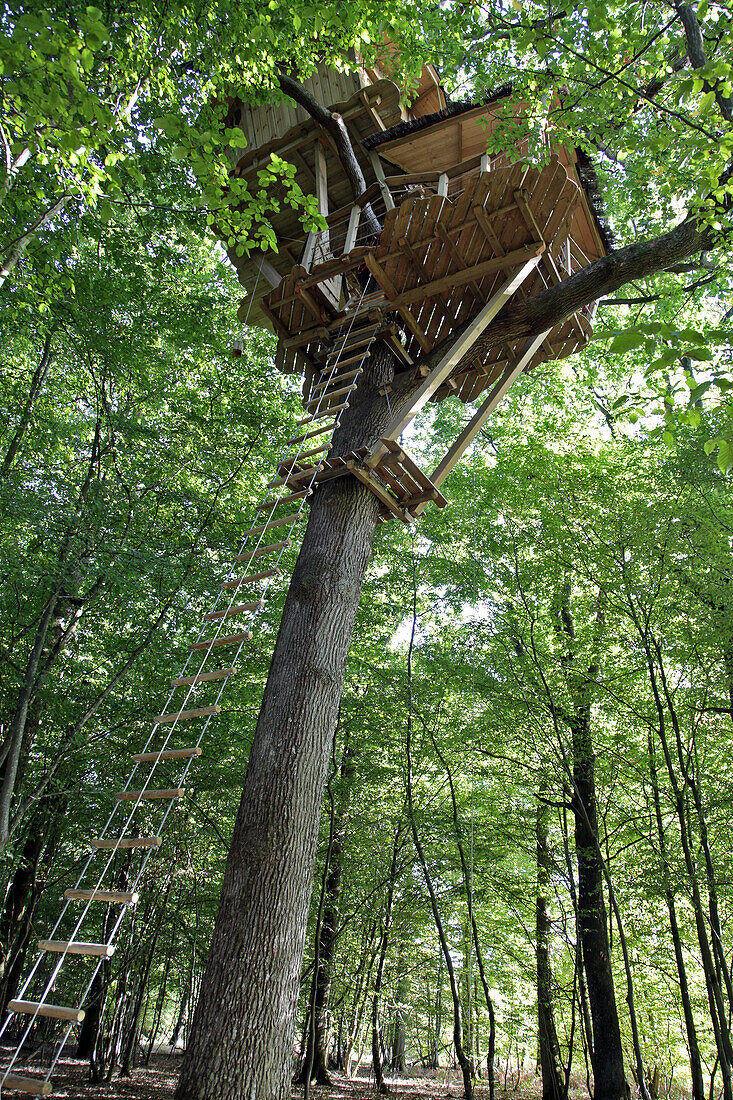 Treehouses In The Landry Woods, Domaine Du Bois Landry, Champrond-En-Gatine, Perche, Eure-Et-Loir (28), France