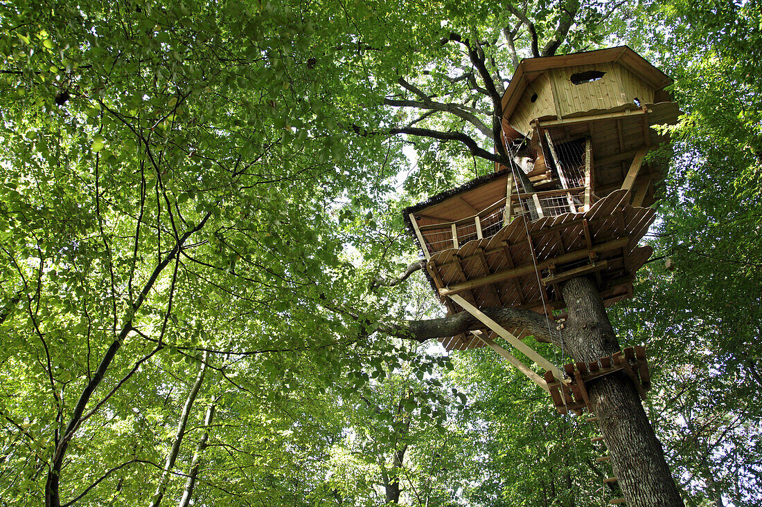 Treehouses In The Landry Woods, Domaine Du Bois Landry, Champrond-En-Gatine, Perche, Eure-Et-Loir (28), France