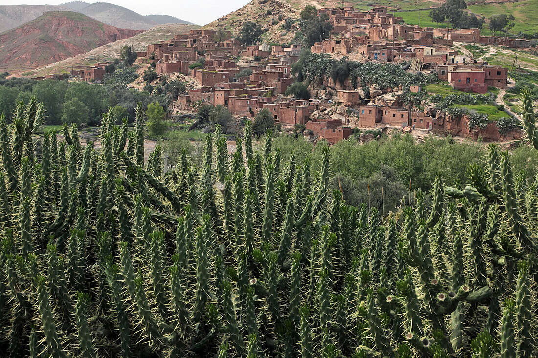 Berber Village Of Azrou, Terres d'Amanar, Al Haouz, Morocco