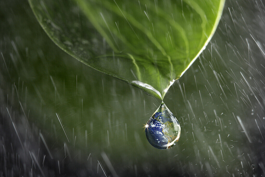 The Earth As A Raindrop Falling Onto A Leaf In The Rain, Illustration Of Life On The Planet, Photo Exhibition 'Fragile Earth' Presented By The Association 'L'Effet Colibri' France