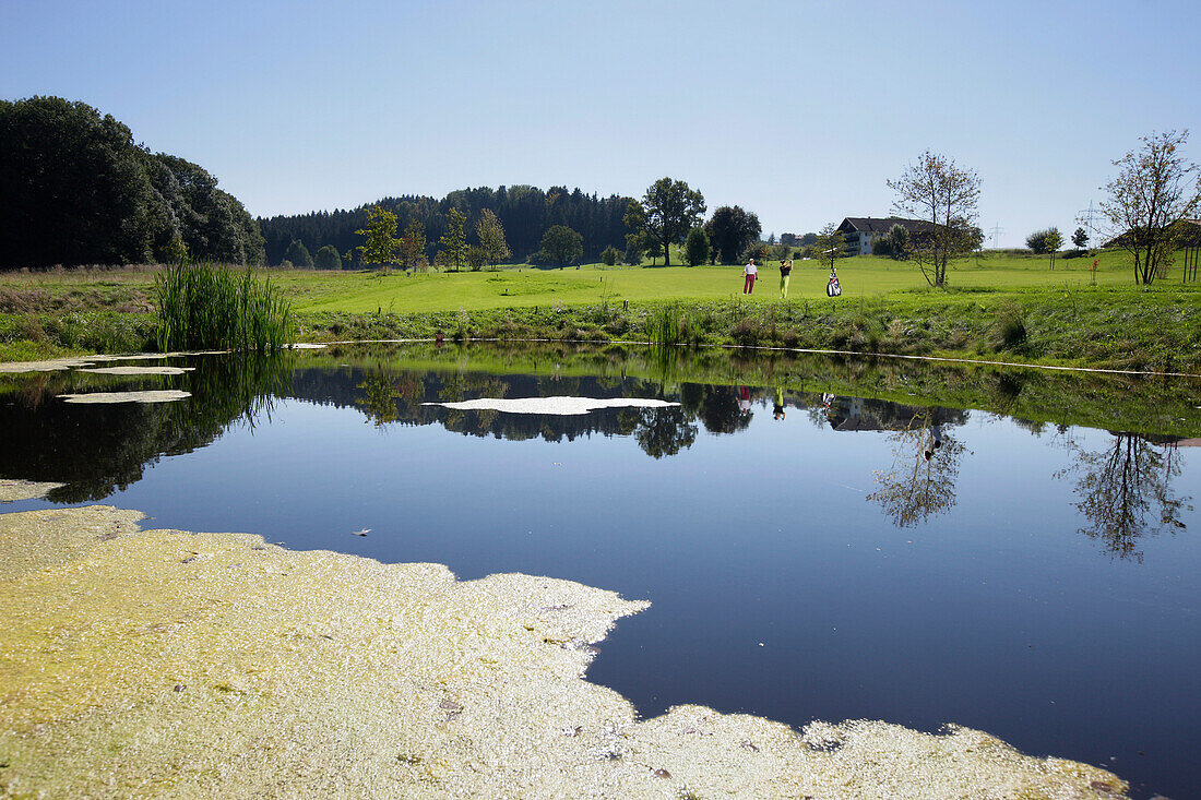 Two men playing golf, Prien am Chiemsee, Bavaria, Germany