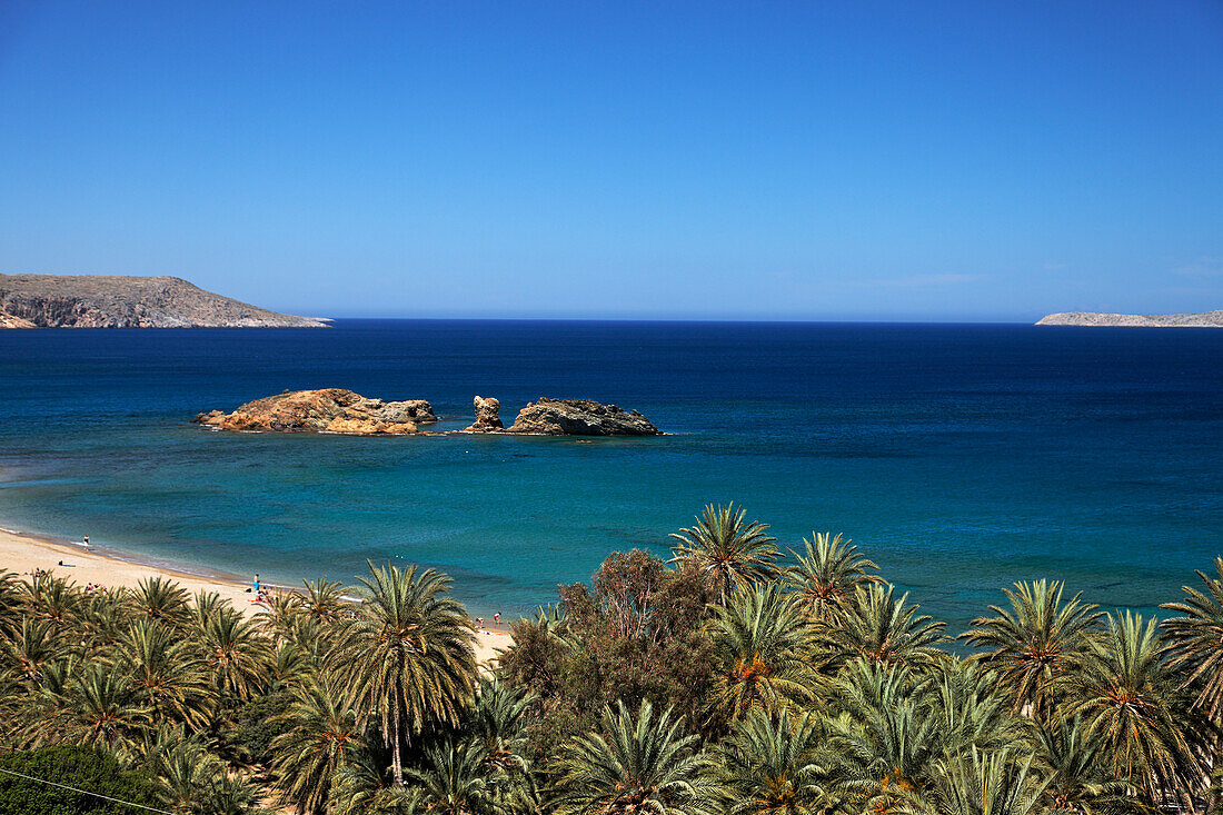 Palm beach of Vai, largest natural palm forest in Europe, Vai, Prefecture of Lasithi, Crete, Greece